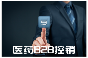 B2B控销自营商城